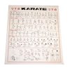 POSTER POSIZIONI E MOSSE DI KARATE DIMENSIONI 51X43