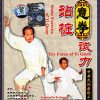 Stake Exercise & Try Force of Yi Quan by Bo Jiacong