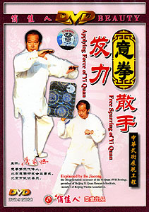 Applying Force & Free Sparring of Yi Quan by Bo Jiacong