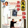 Single Hand Exercise & Pushing Hand of Yi Quan by Bo Jiacong