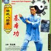 The Basic Exercises of Liang Style - Zhang Quanliang