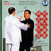 Appreciaton Taijiquan and Weapon Routines by Qiao Songmao