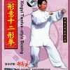 Xingyi Twelve Style Boxing