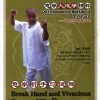 Break Hand and Vivacious Dance of Yin Quan