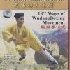 18th ways of Wu dang boxing movement