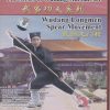 Wu dang longmen spear movement