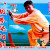 BaJi style BaJi Sword VCD