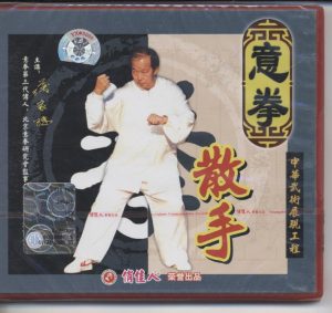 Yi Quan Free Hands