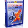 Traditional Shaolin Kungfu Series - Shao Lin Zhao yang Quan by Shi Deyang DVD