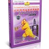 Traditional Shaolin Kungfu Series - Shaolin Bodhidharma's Cane DVD