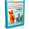 Traditional Shaolin Kungfu Series - Shao Lin Mizong Quan Routine II DVD