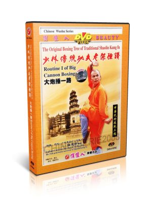 Traditional Shaolin Kungfu Series Shao Lin Big Cannon Boxing I by Shi Deyang DVD