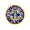 DISTINTIVO RICAMATO TAEKWONDO