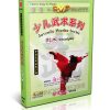 Chinese Kungfu Juvenile Wushu Weapons Series - Sword Play by Zhang Lihui DVD